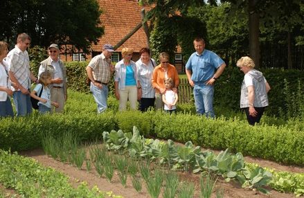 Heilkräutergarten