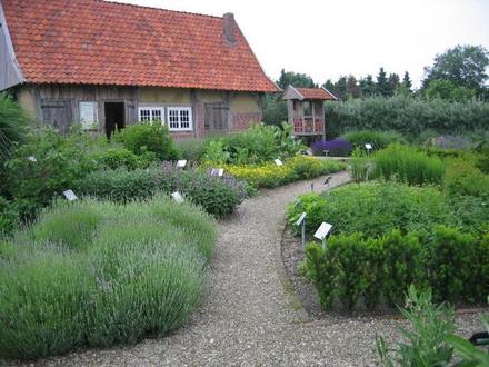 im Kräutergarten